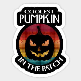 Coolest Pumpkin in the Patch.Pumpkin Halloween Sticker